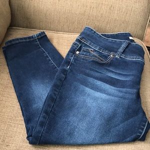 YMI WannabettaButt jeans